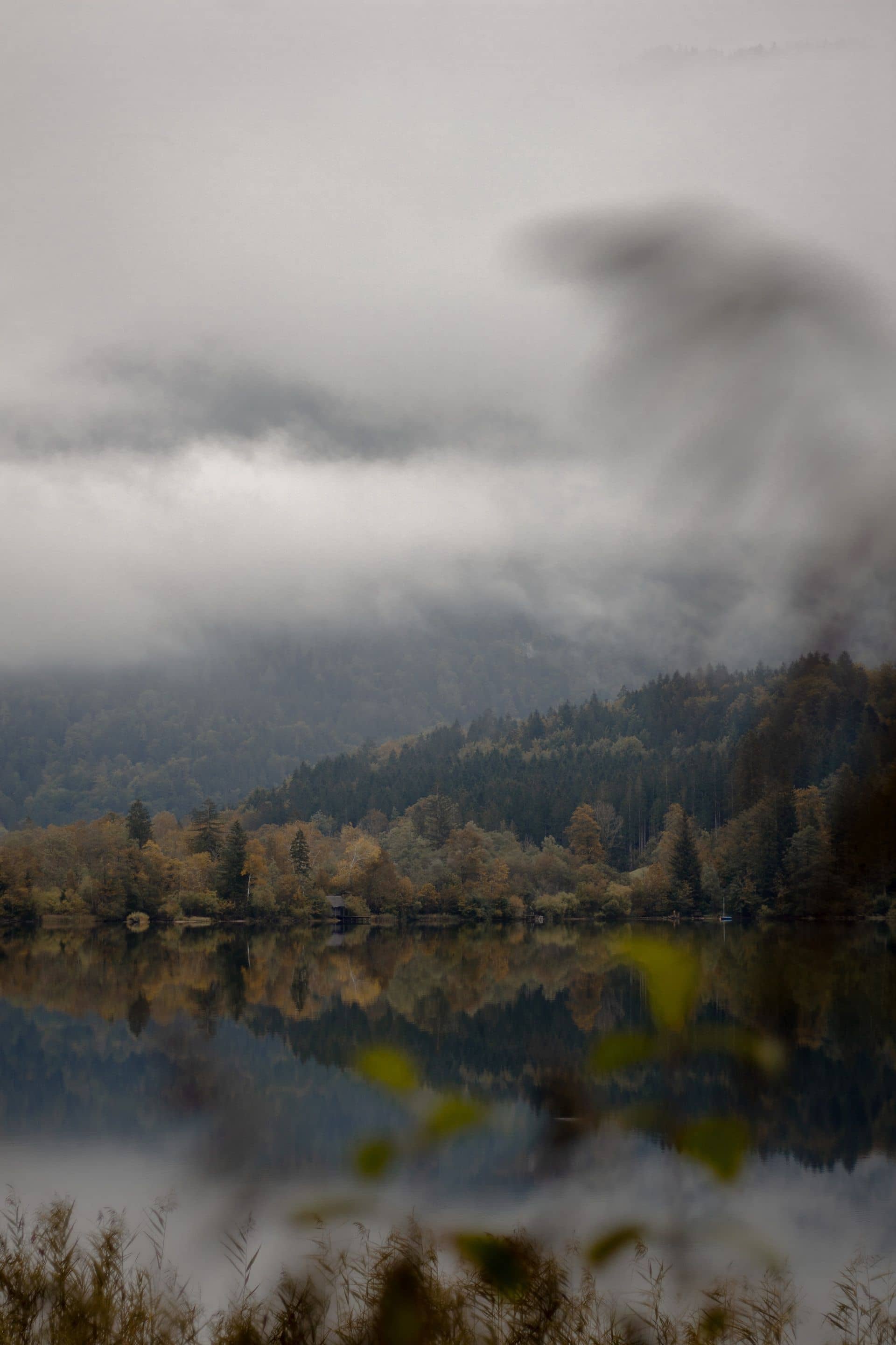 Latasha Steward Blog Image